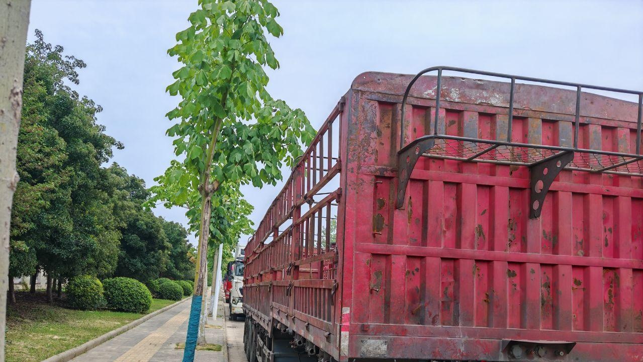 徐州地区处理欧曼半挂车