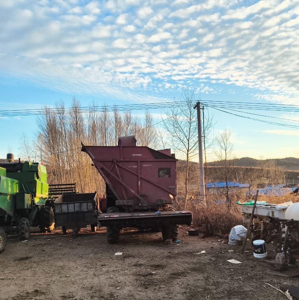 佳木斯地区处理12年牧神骑三收五