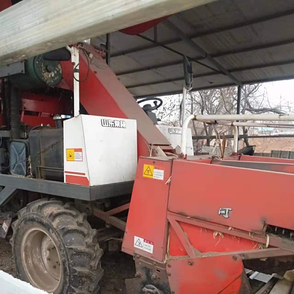 衡水地区处理两行玉米收