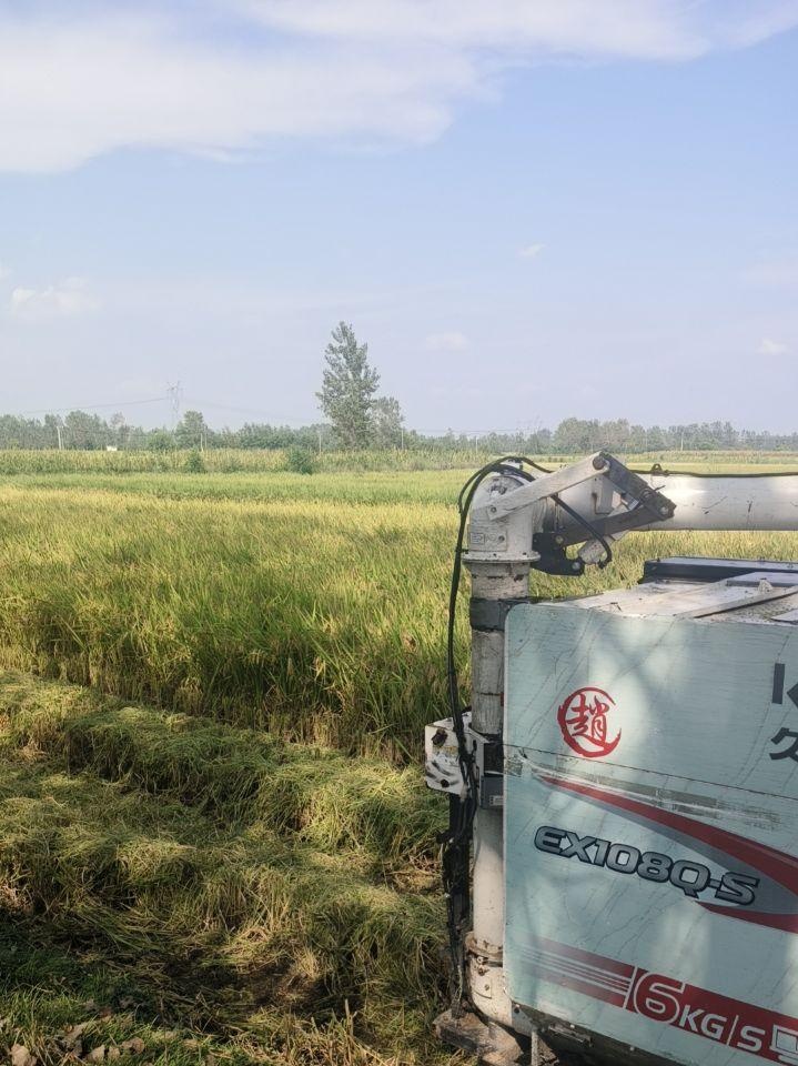 嘉兴地区处理出售22款久保田 