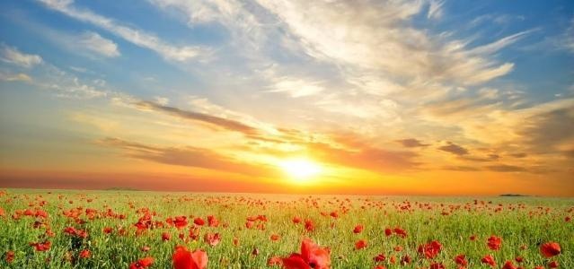 长沙地区处理明基投影机