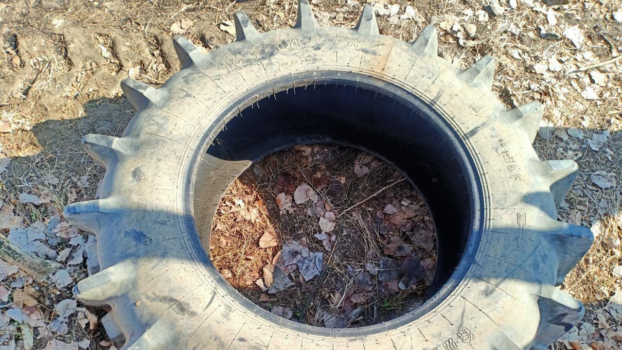 宿迁地区处理16.9-34徐州甲子水田高花胎2只