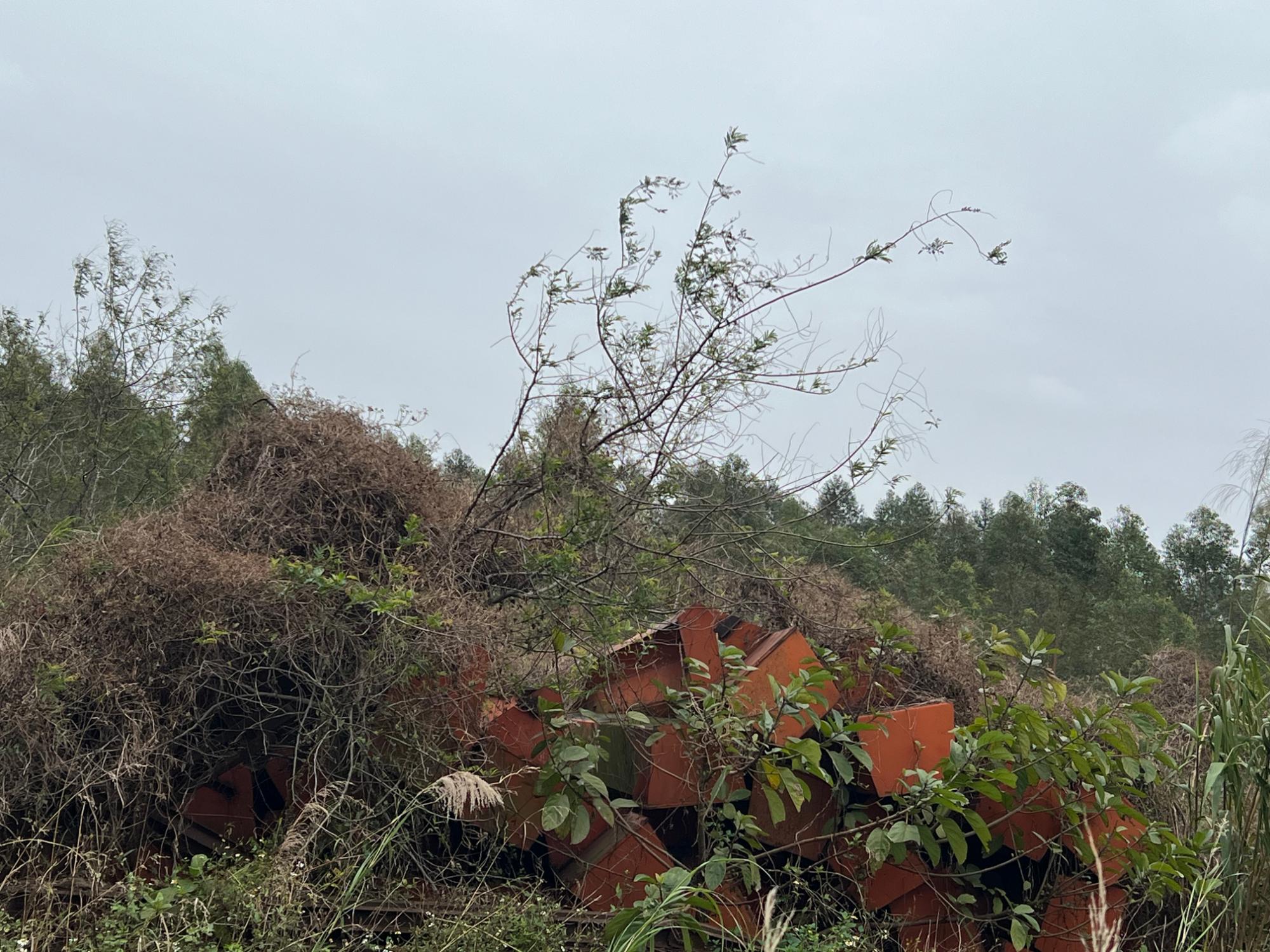 1月9日清远群吊一批招标公告