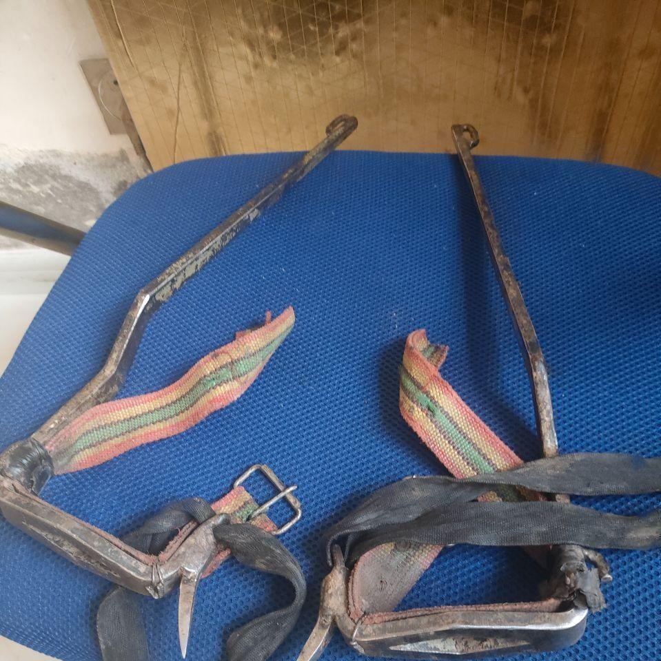 双鸭山地区处理上树神器