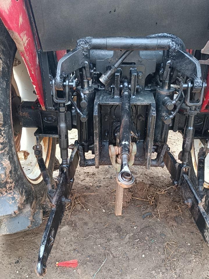 南宁地区处理东方红 504