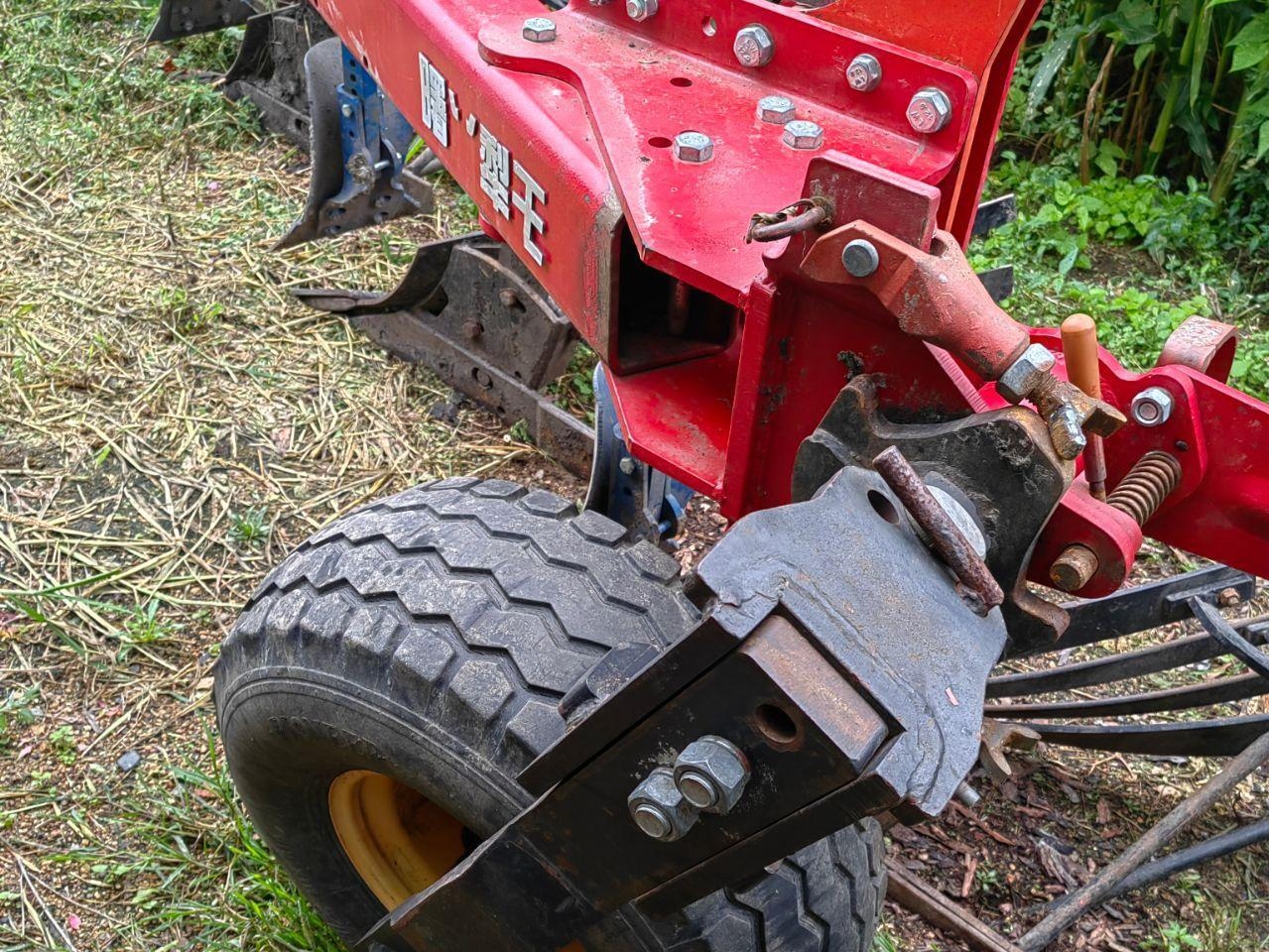 双鸭山地区处理曙光大梨