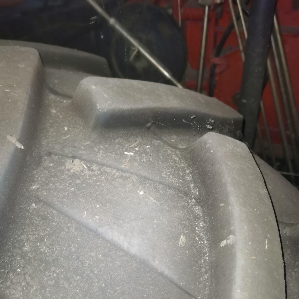 邢台地区处理东方红小麦机