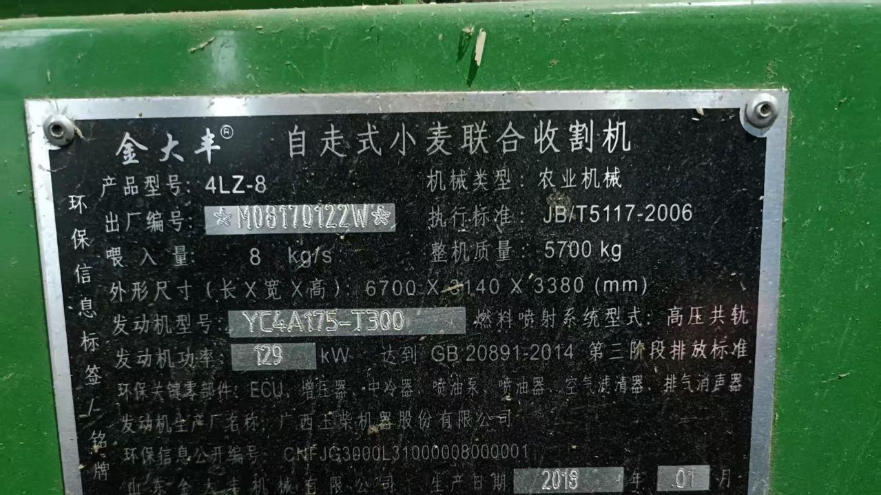 衡水地区处理金大丰小麦收