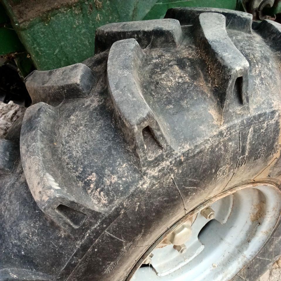 石家庄地区处理17年极品谷王70