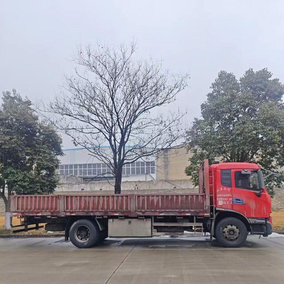 徐州地区处理东风天锦平板车