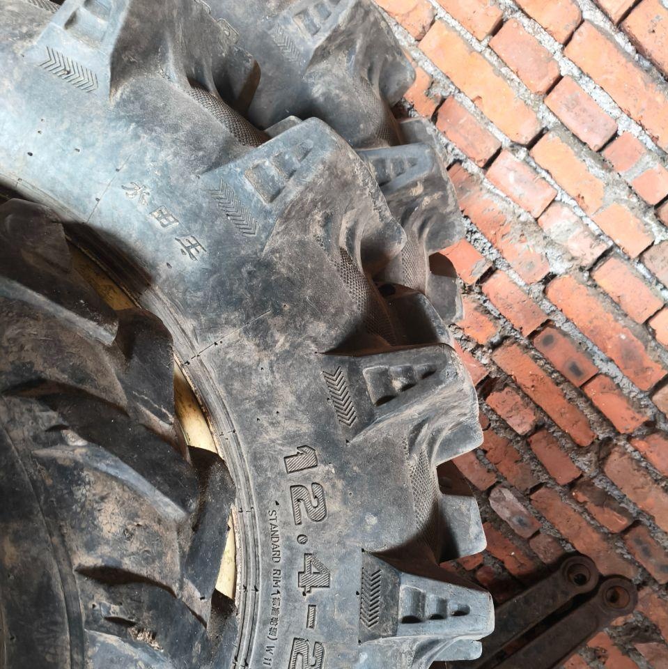 鸡西市地区处理四只水田胎