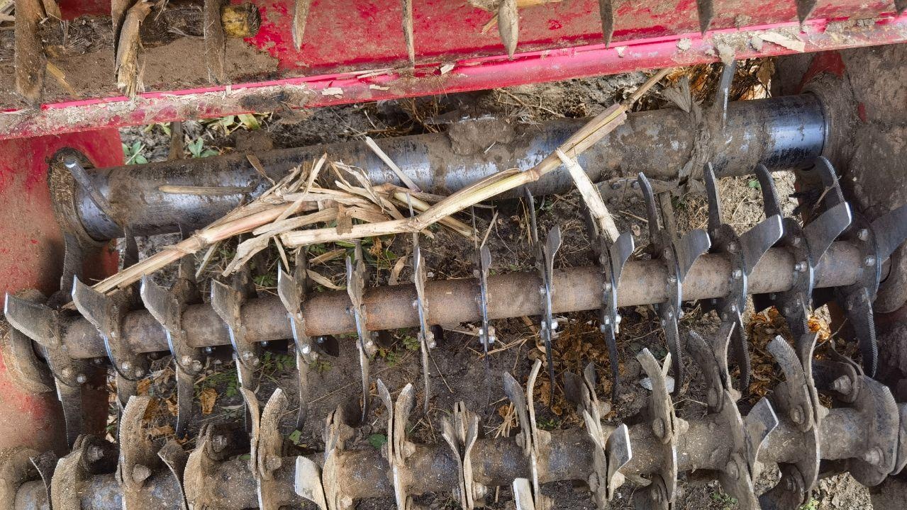 天津地区处理红薯 土豆杀秧机