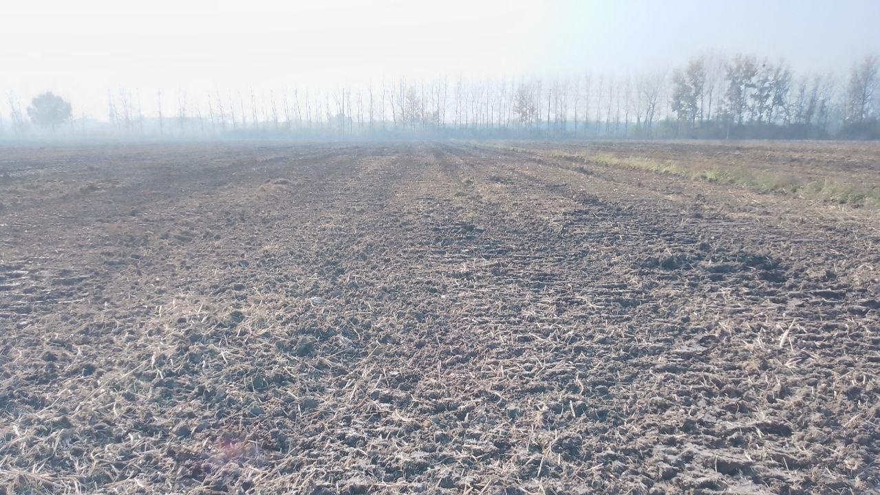 临沂地区处理250型双通轴免耕机