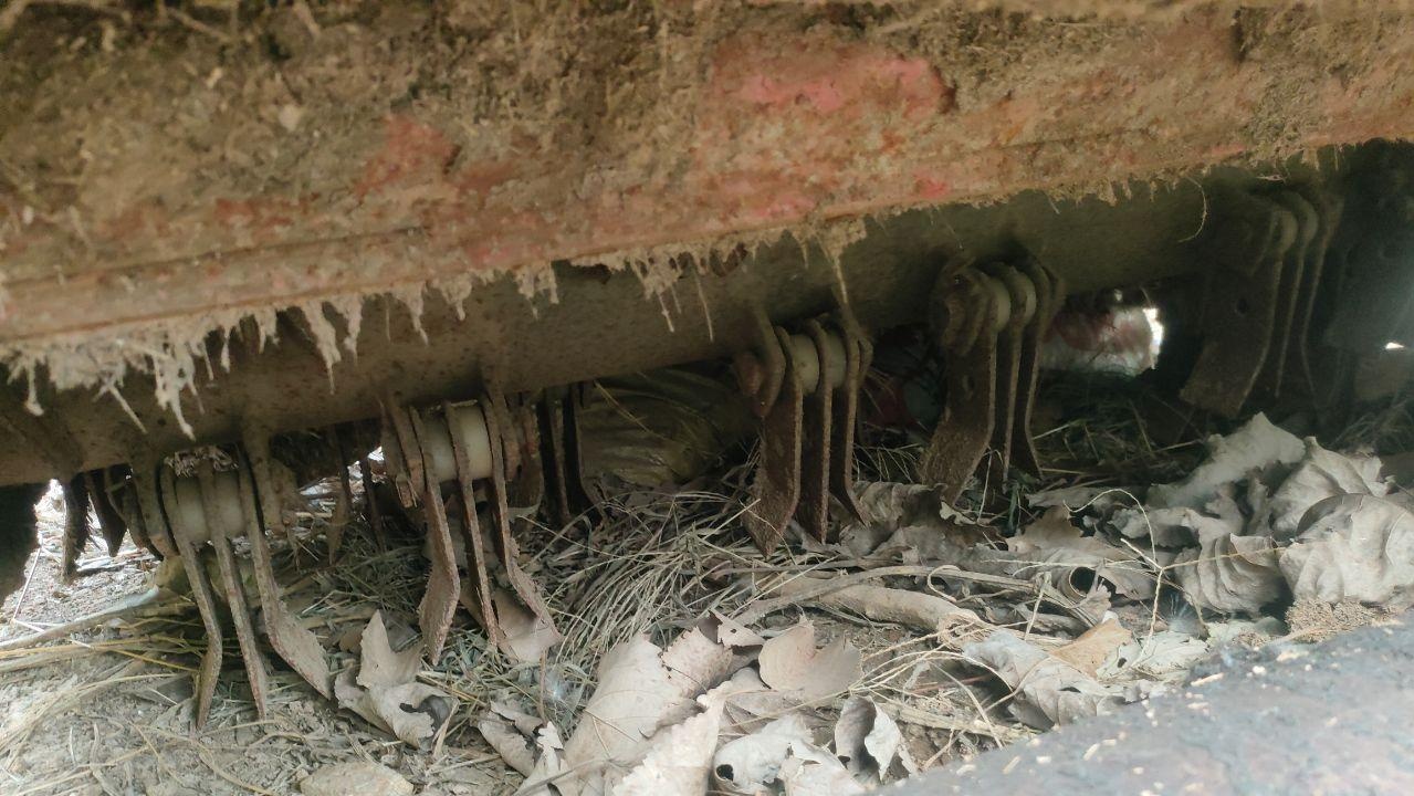 衡水地区处理东方红950