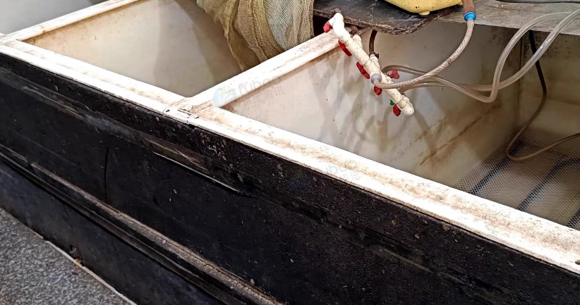 天津市地区处理PP水箱