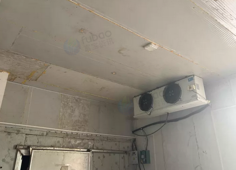 上海市地区处理冷库