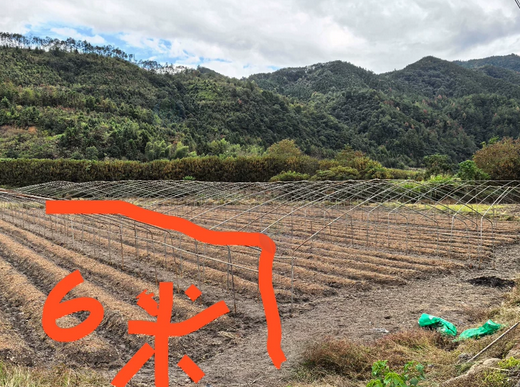 南平市地区处理三十亩大棚钢管架