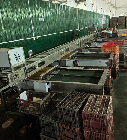 襄阳市地区食品公司处理7级3排分级机