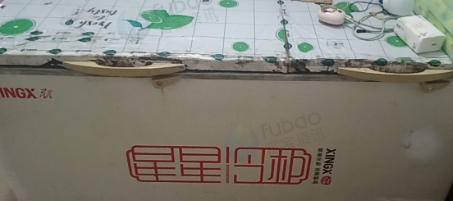 湛江市地区自用处理星牌冷柜