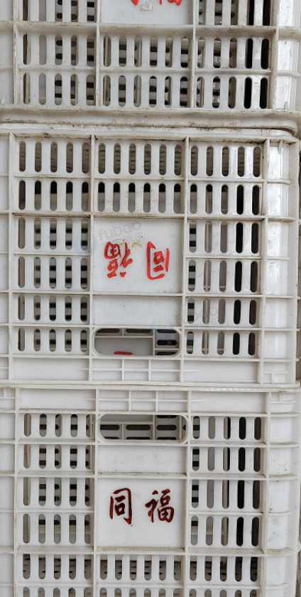 东莞市地区处理一批白筐