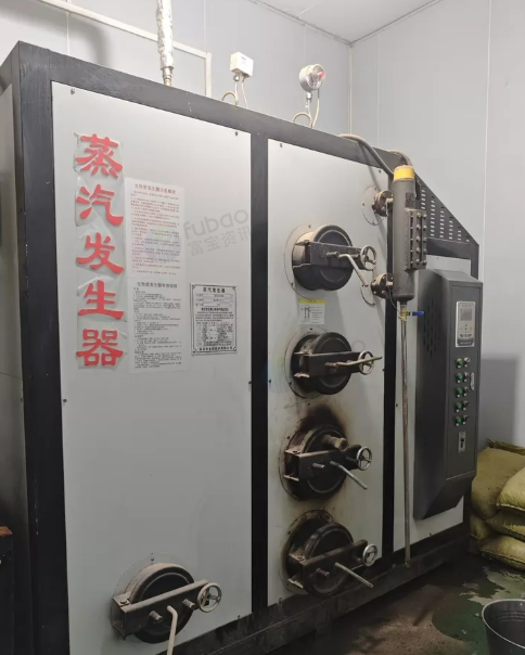 黔南市地区处理生物质蒸汽发生器