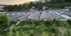昆明市地区工厂处理钢架大棚、冷库、装包机、灭菌房、烘干机等