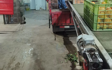 宜昌市地区包装厂处理称重分级机