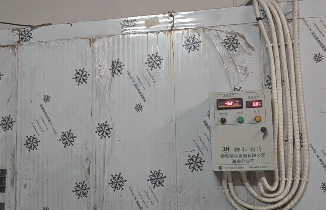海口市地区处理冷库